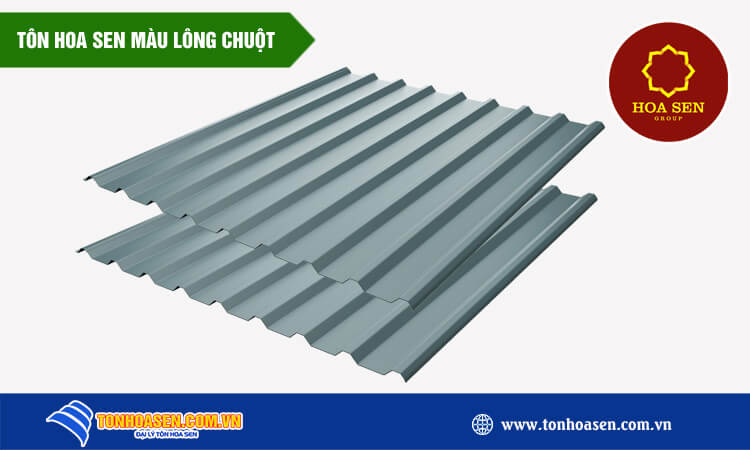 Tôn Hoa Sen màu lông chuột 