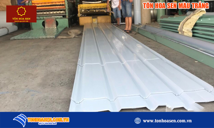Tôn hoa sen màu trắng sữa