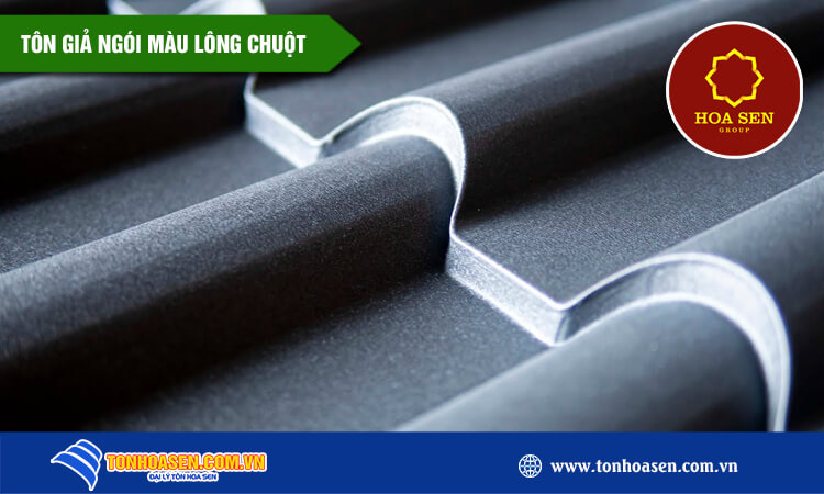 Tôn giả ngói màu lông chuột 