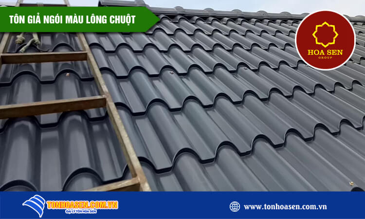 Tôn giả ngói màu lông chuột 