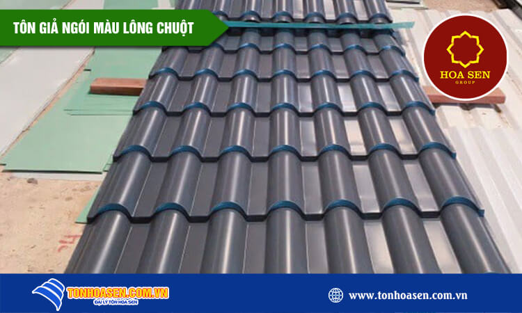 Tôn giả ngói màu lông chuột 